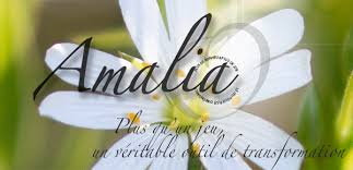 amalia-abondance